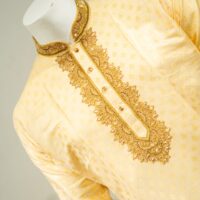 Golden Luxury Panjabi