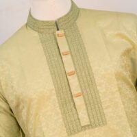 lemon color indian panjabi